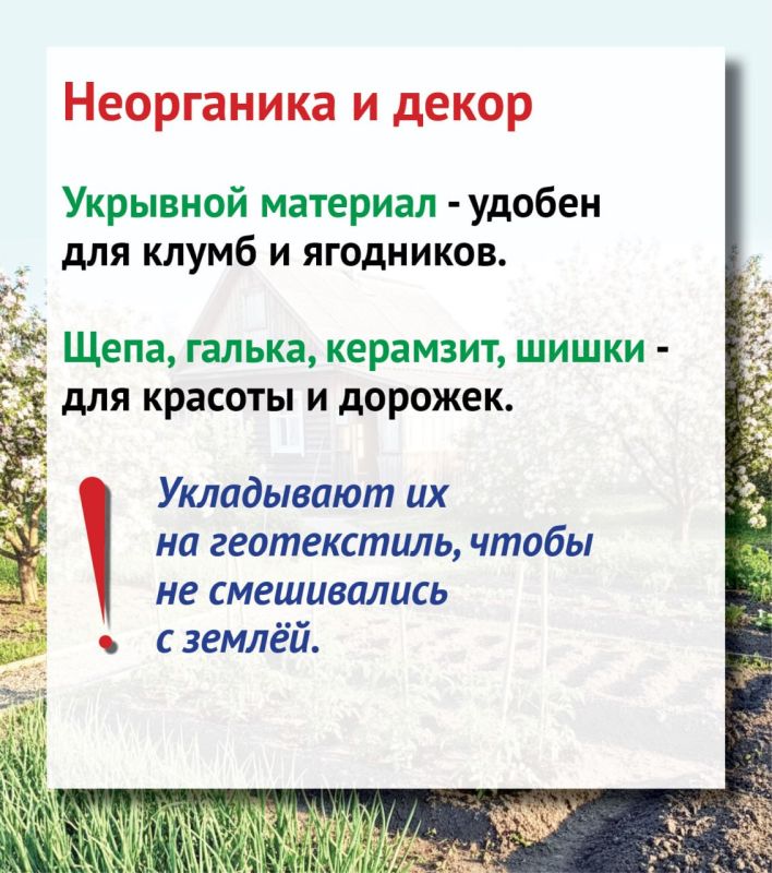 Все о мульчировании, или Поддерживаем порядок на участке без титанических усилий Все о мульчировании, или Поддерживаем порядок на участке без титанических усилий
