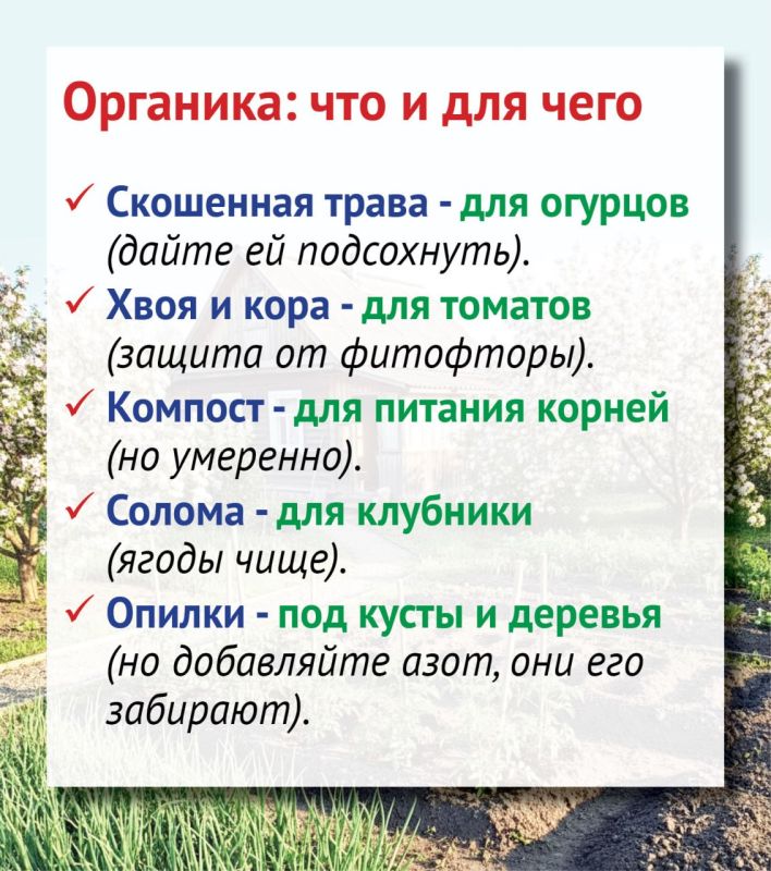 Все о мульчировании, или Поддерживаем порядок на участке без титанических усилий Все о мульчировании, или Поддерживаем порядок на участке без титанических усилий