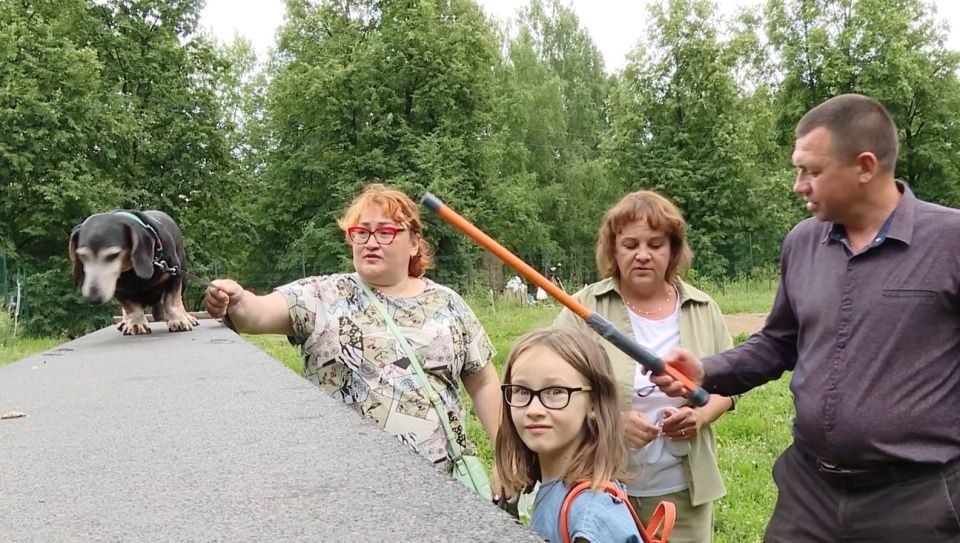 В Нижнекамске начались проверки домашних собак — теперь у каждого животного должен быть чип В Нижнекамске начались проверки домашних собак — теперь у каждого животного должен быть чип