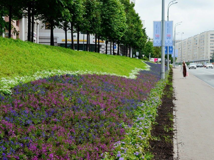 В Казани продолжается цветочное оформление города: этим летом высадят 1,3 млн цветов