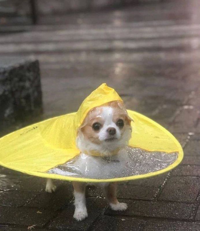 Град, грозы и ливни не покидают Татарстан – МЧС напомнило о мерах безопасности