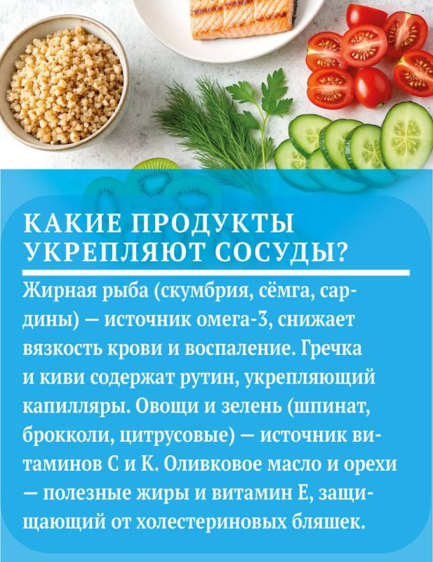 Что поможет сохранить сосуды здоровыми и эластичными Что поможет сохранить сосуды здоровыми и эластичными