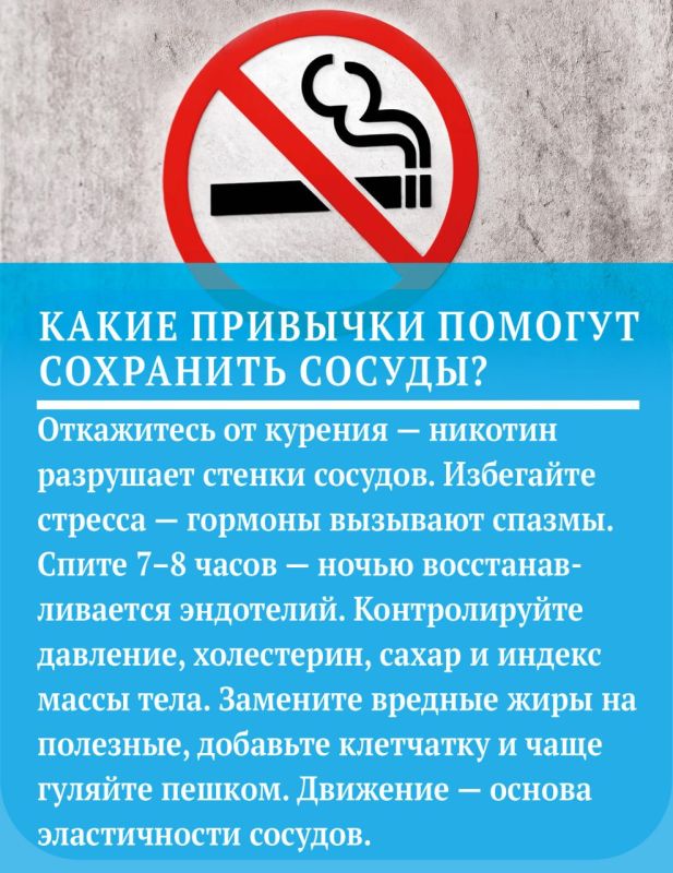 Что поможет сохранить сосуды здоровыми и эластичными Что поможет сохранить сосуды здоровыми и эластичными