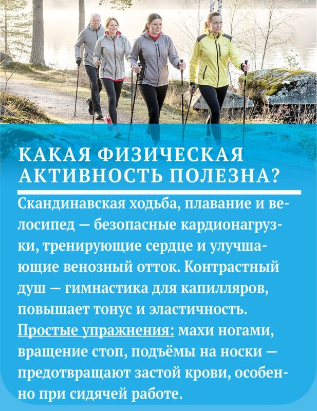 Что поможет сохранить сосуды здоровыми и эластичными Что поможет сохранить сосуды здоровыми и эластичными