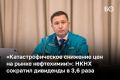«К сожалению, тенденции на рынке очень удручающие», — сетовал гендиректор «Нижнекамскнефтехима» Марат Фаляхов на годовом общем собрании акционеров, обосновывая низкий размер дивидендов