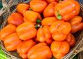 Уход за перцем в июле
