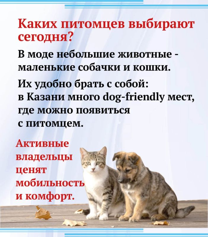 Почему казанцы стали чаще заводить домашних животных? Почему казанцы стали чаще заводить домашних животных?