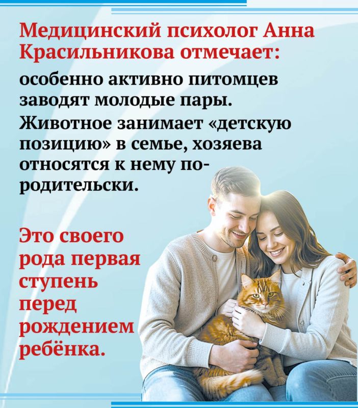 Почему казанцы стали чаще заводить домашних животных? Почему казанцы стали чаще заводить домашних животных?