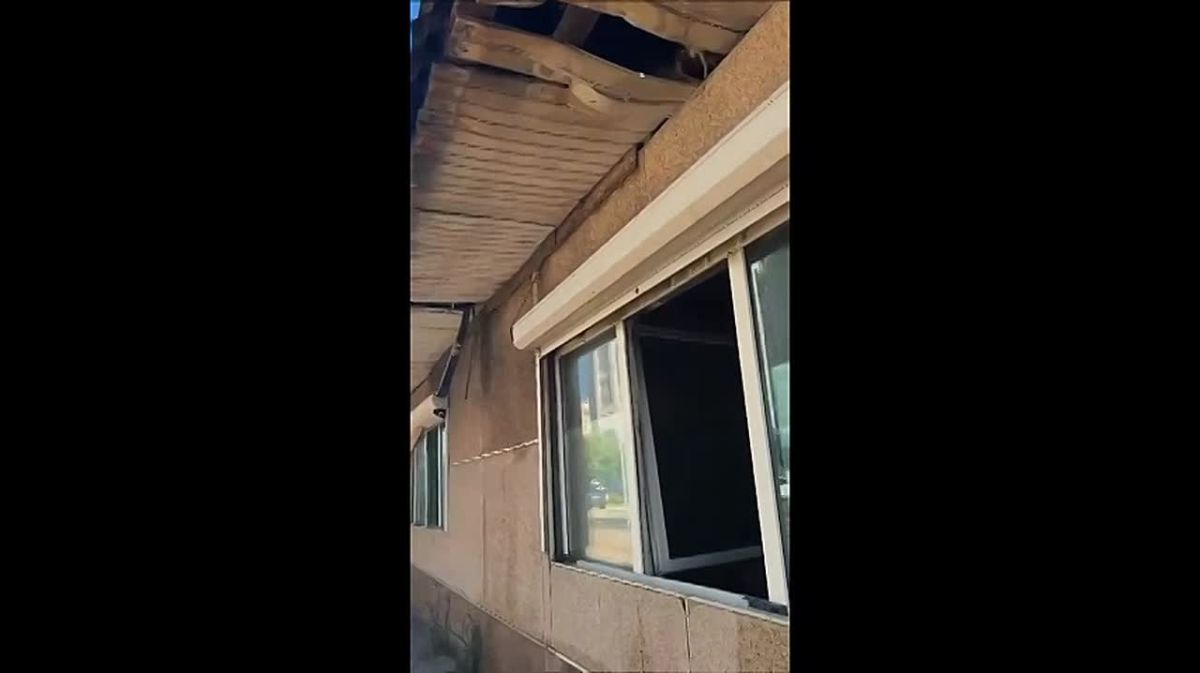 «Нам важно, чтобы их забрали»: сто кошек едва не погибли в пожаре в Татарстане