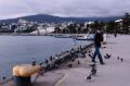 ����� �� ������������� ��������� ����� � ����� � �����������