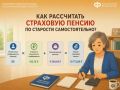 ������ ��������� ������ �� �������� ����� ���������� �������������� �� ��������� �������� ��������������� �������� �����