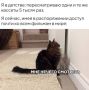 ������ ����� ������� ������� �� ������� ����������� ����