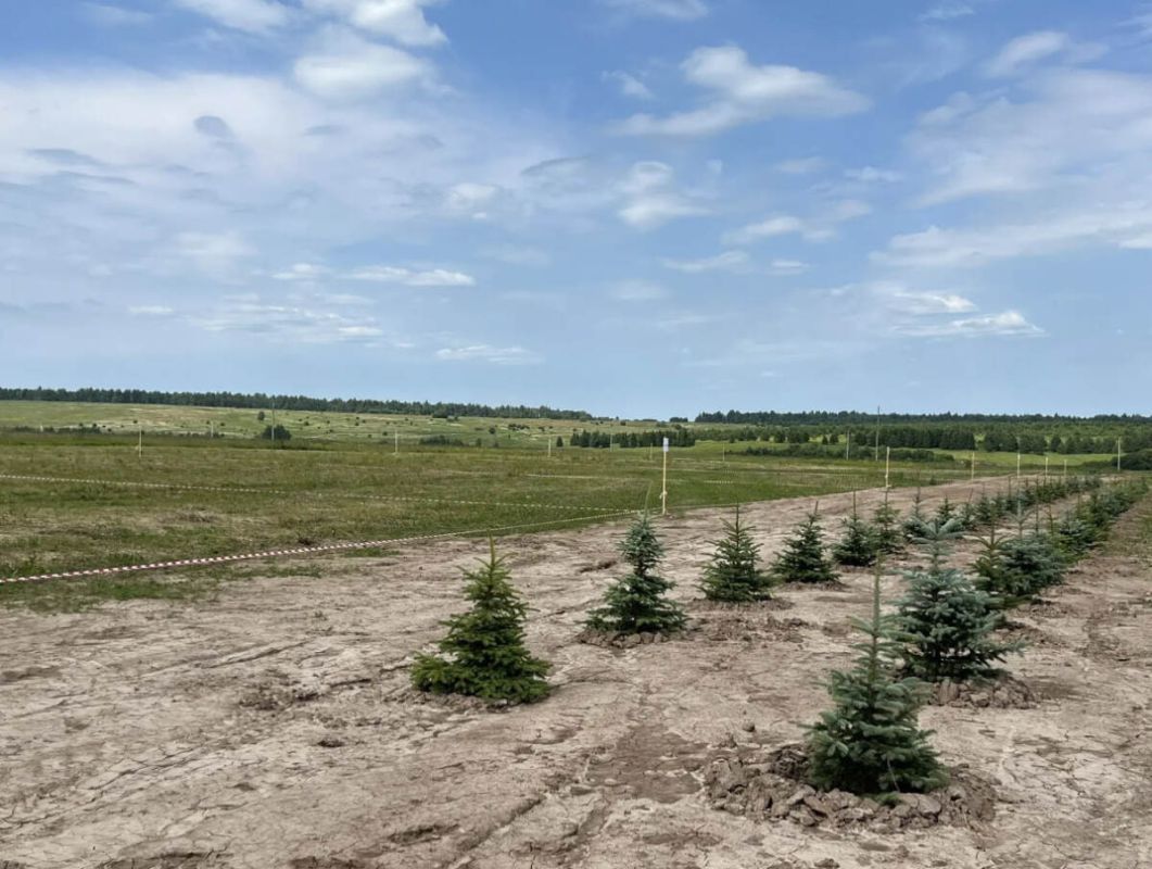 Группа компаний ASG безвозмездно передаст еще 10 тыс