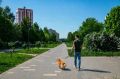В Нижнекамске продолжается работа по обеспечению безопасности и контролю за содержанием домашних животных