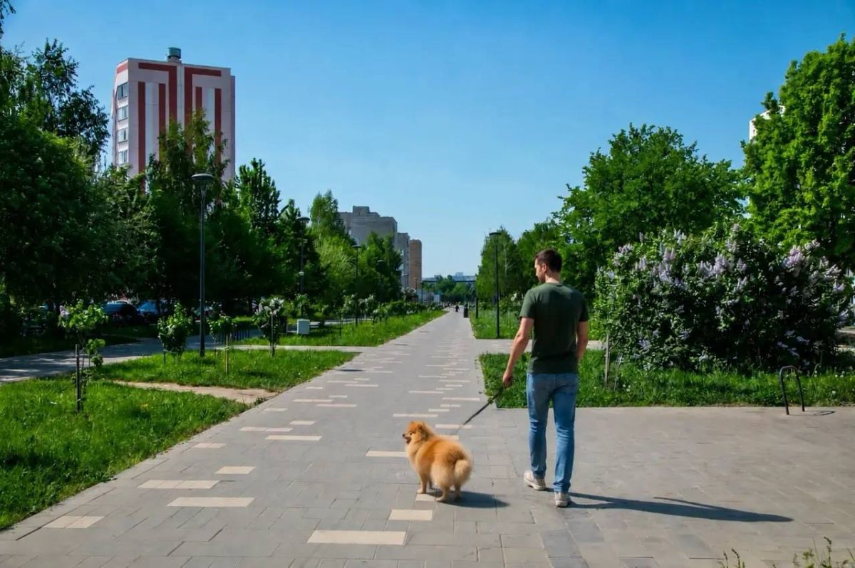 В Нижнекамске продолжается работа по обеспечению безопасности и контролю за содержанием домашних животных