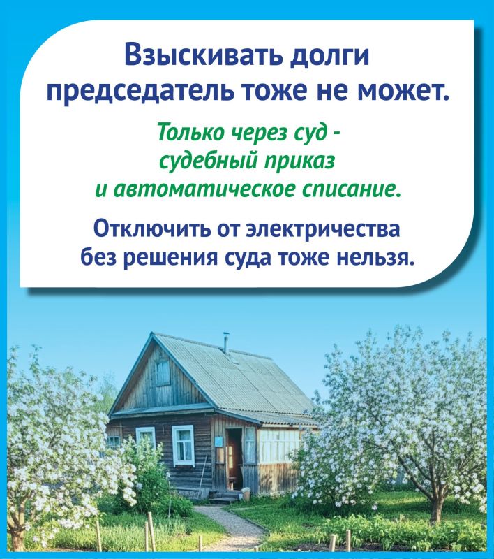 Кто самый главный в СНТ? Кто самый главный в СНТ?