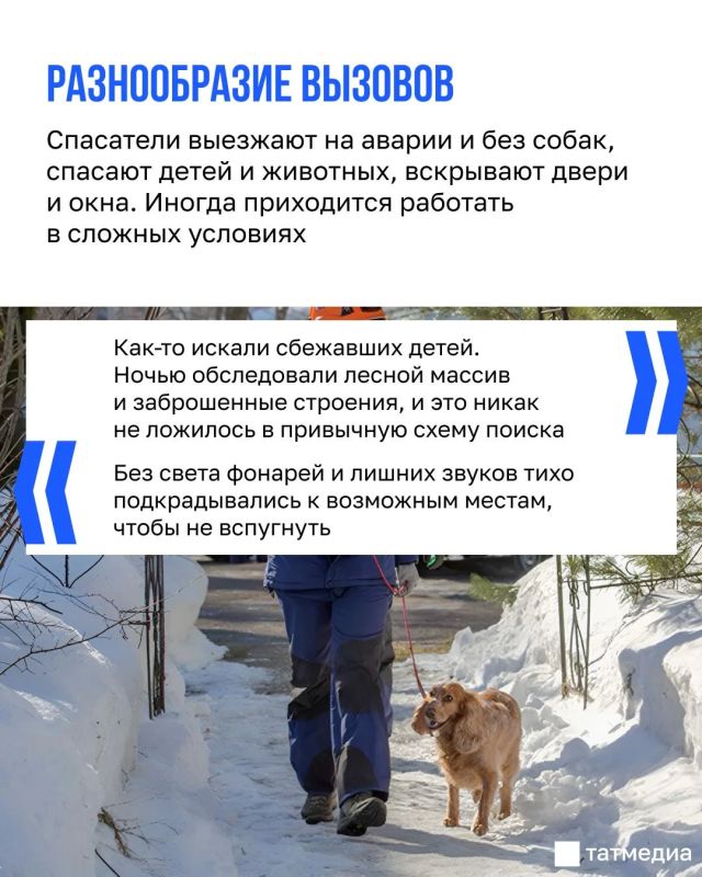 Женщина-спасатель: Если собака под завалами никого не нашла, это тоже результат Женщина-спасатель: Если собака под завалами никого не нашла, это тоже результат