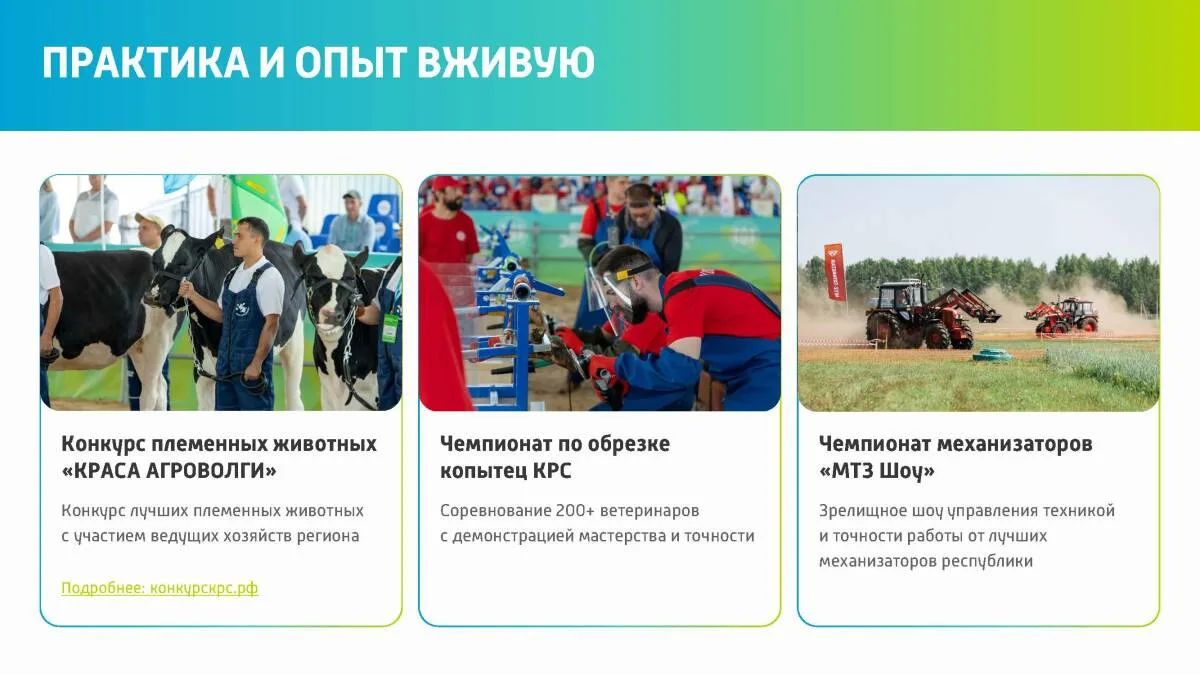 В «Казань Экспо» одновременно пройдут «Агроволга», форум потребкооперации и выставка «Дрон Экспо» В «Казань Экспо» одновременно пройдут «Агроволга», форум потребкооперации и выставка «Дрон Экспо»