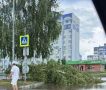 Из-за сильного ветра сегодня в Нижнекамске были случаи падения деревьев