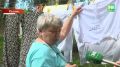 Казанские деревья окутала паутина Жители Кировского района жалуются на нашествие гусениц: вредители атакуют ивы на Фабричной, Краснококшайской и других улицах По словам местных, дети боятся подходить к деревьям, а белье...