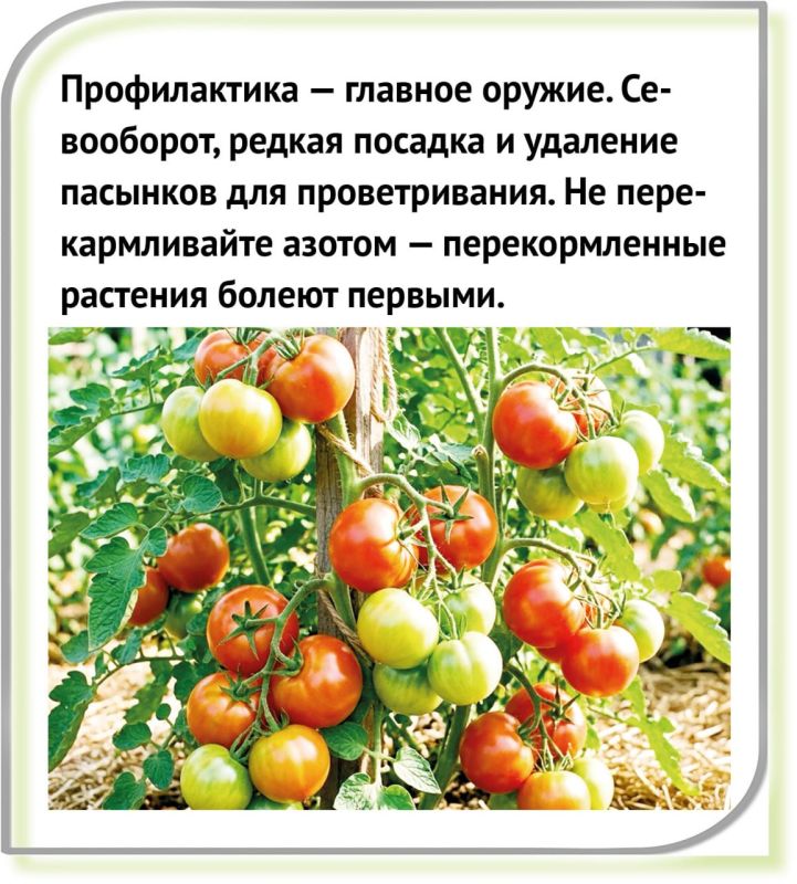 Как бороться с «пожирателем растений»? Как бороться с «пожирателем растений»?