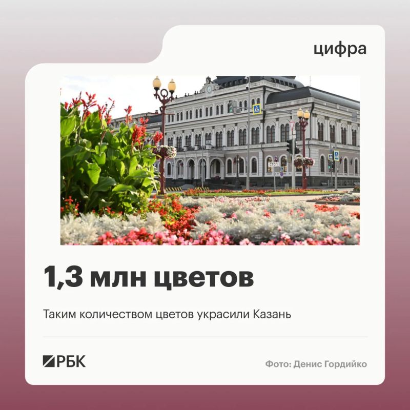 На улицах, площадях и в скверах Казани высадили 1,3 млн цветов