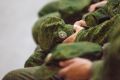 Комитет Госдумы одобрил законопроект о сохранении за семьей соцжилья в случае гибели бойца СВО, сообщает корреспондент БИЗНЕС Online