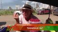 Челнинские дачники собрали первые огурцы и помидоры