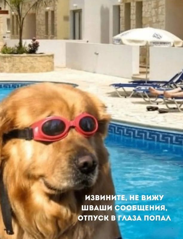 На «КАМАЗе» начался корпоративный отпуск: завод уходит на две недели
