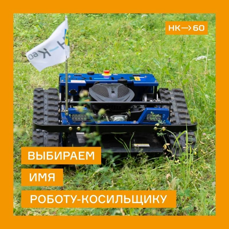 Выбираем имя нашему роботу-косильщику!