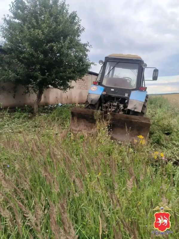В Нижнекамском районе выявлен очаг произрастания дикорастущей конопли В Нижнекамском районе выявлен очаг произрастания дикорастущей конопли