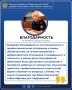 Когда в наш адрес приходят благодарности - это всегда особенный повод для хороших новостей!