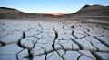 Как выживают в засушливых регионах: секреты кулинарии без воды