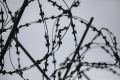 Правительство России предложило снять часть ограничений для контрактов с армией для осужденных