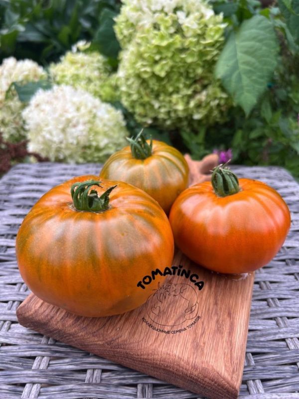 Томат Коричневый Дерби: волшебство шоколадного урожая на вашем огороде