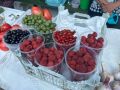 Нижнекамские дачники распродают урожай