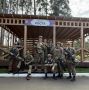Поддержим команду Татарстана!