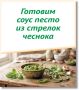 Готовим соус песто из стрелок чеснока! Необычный рецепт закуски – в карточках от «КВ»
