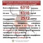 Клещи покусали более 2 тысяч казанцев с начала сезона
