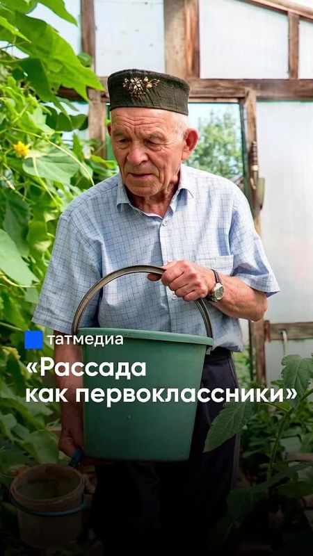 Учитель биологии раскрыл секреты богатого урожая