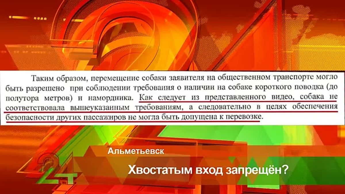 Спор пассажира с перевозчиком из-за собаки дошел до суда