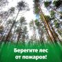 Пренебрежение правилами пожарной безопасности может привести к лесным пожарам