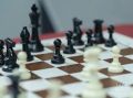Шахматы и русское лото — в субботу в Саду рыбака!