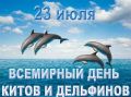 Сегодня — Всемирный день китов и дельфинов!