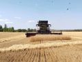 Мэр Нижнекамска, глава НМР Радмир Беляев сообщил о старте уборочной кампании