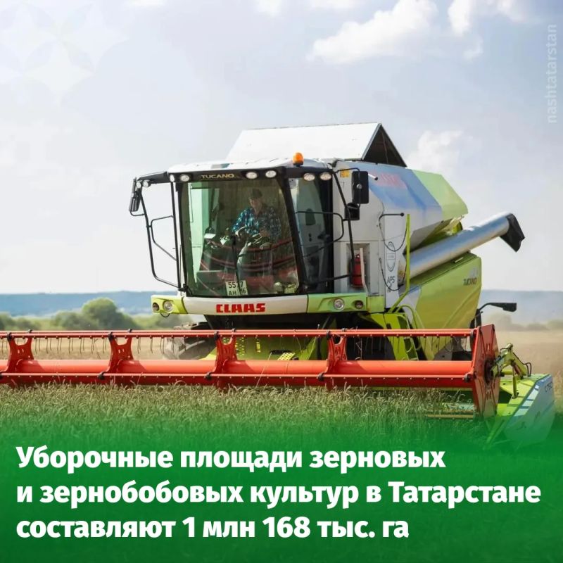 В районах Татарстана стартовала уборочная кампания