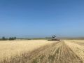 В Доме Правительства РТ состоялось совещание в режиме видеоконференцсвязи с муниципальными районами, посвящённое ходу уборочной кампании