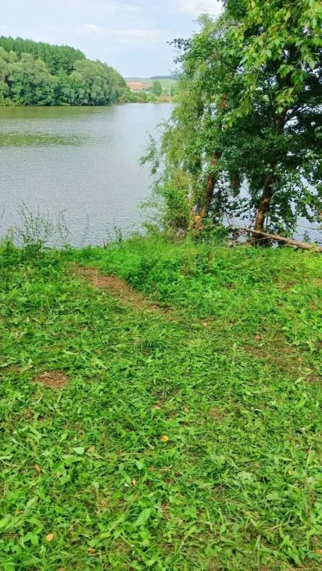 Пятилетняя девочка утонула в пруду в Татарстане, сообщили в прокуратуре по республике Пятилетняя девочка утонула в пруду в Татарстане, сообщили в прокуратуре по республике
