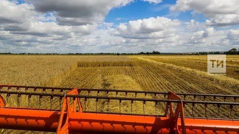 Рустам Минниханов поручил завершить уборочную кампанию до конца августа