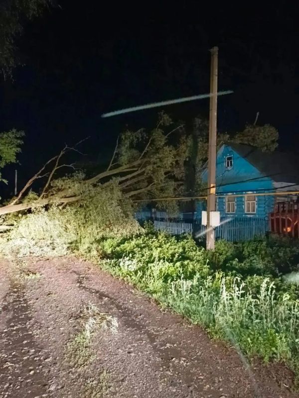 В Татарстане из-за сильного ветра погиб мужчина